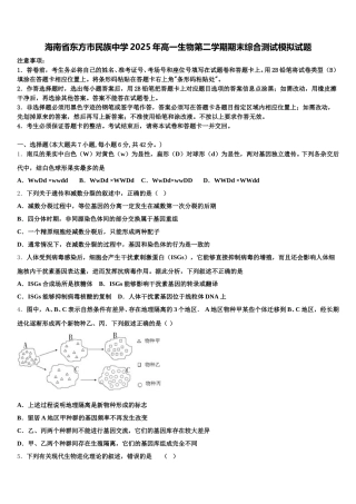 海南省东方市民族中学2025年高一生物第二学期期末综合测试模拟试题含解析