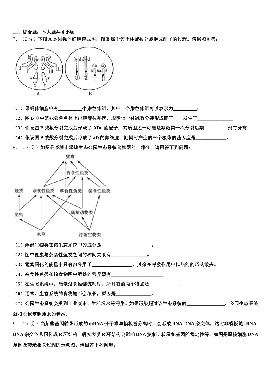 2025年海南省文昌中学生物高一下期末调研试题含解析_第2页