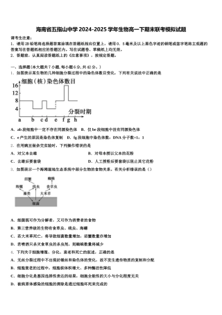 海南省五指山中学2024-2025学年生物高一下期末联考模拟试题含解析