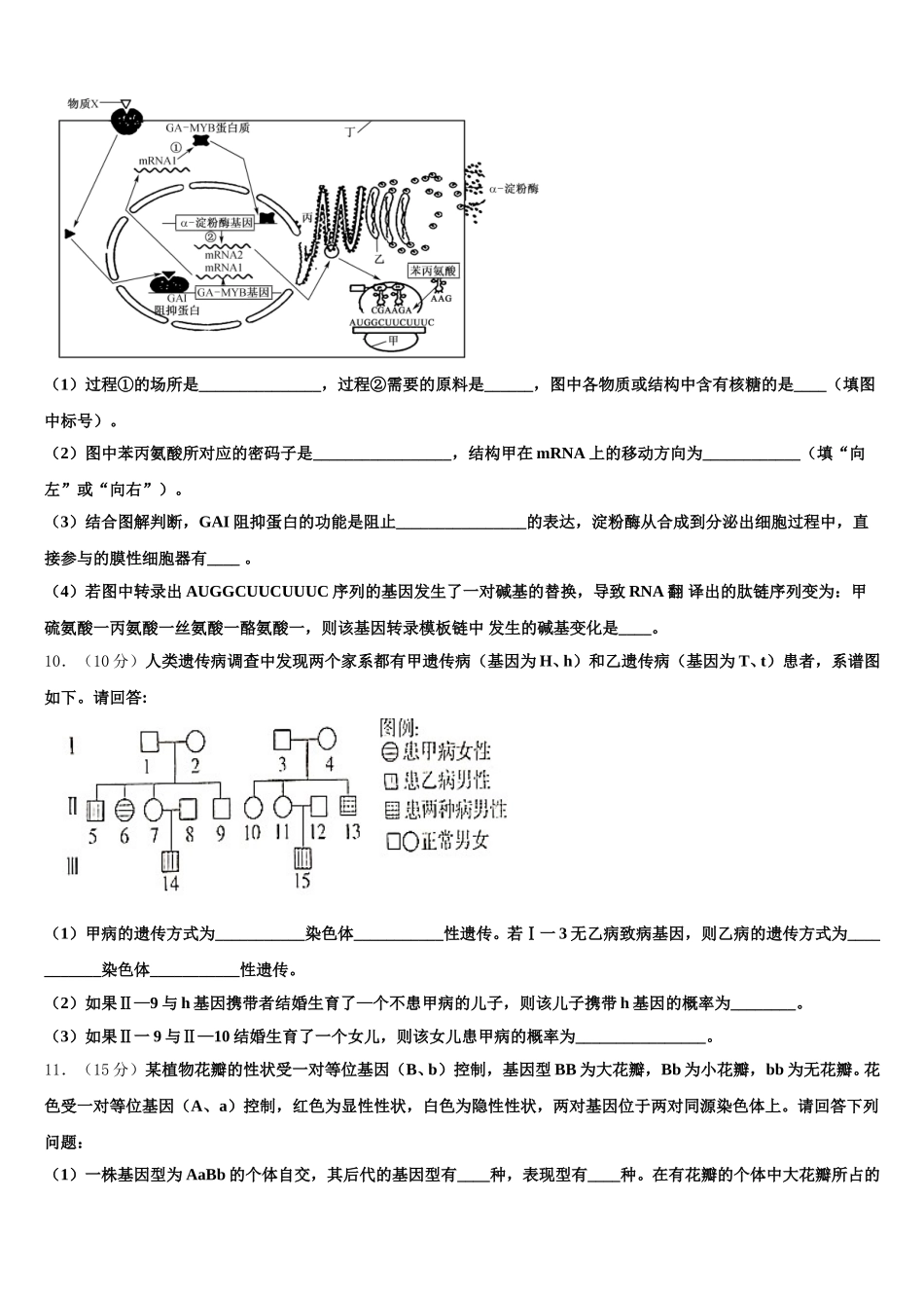 2025年海口市第一中学生物高一第二学期期末教学质量检测模拟试题含解析_第3页