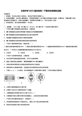 文昌中学2025届生物高一下期末检测模拟试题含解析