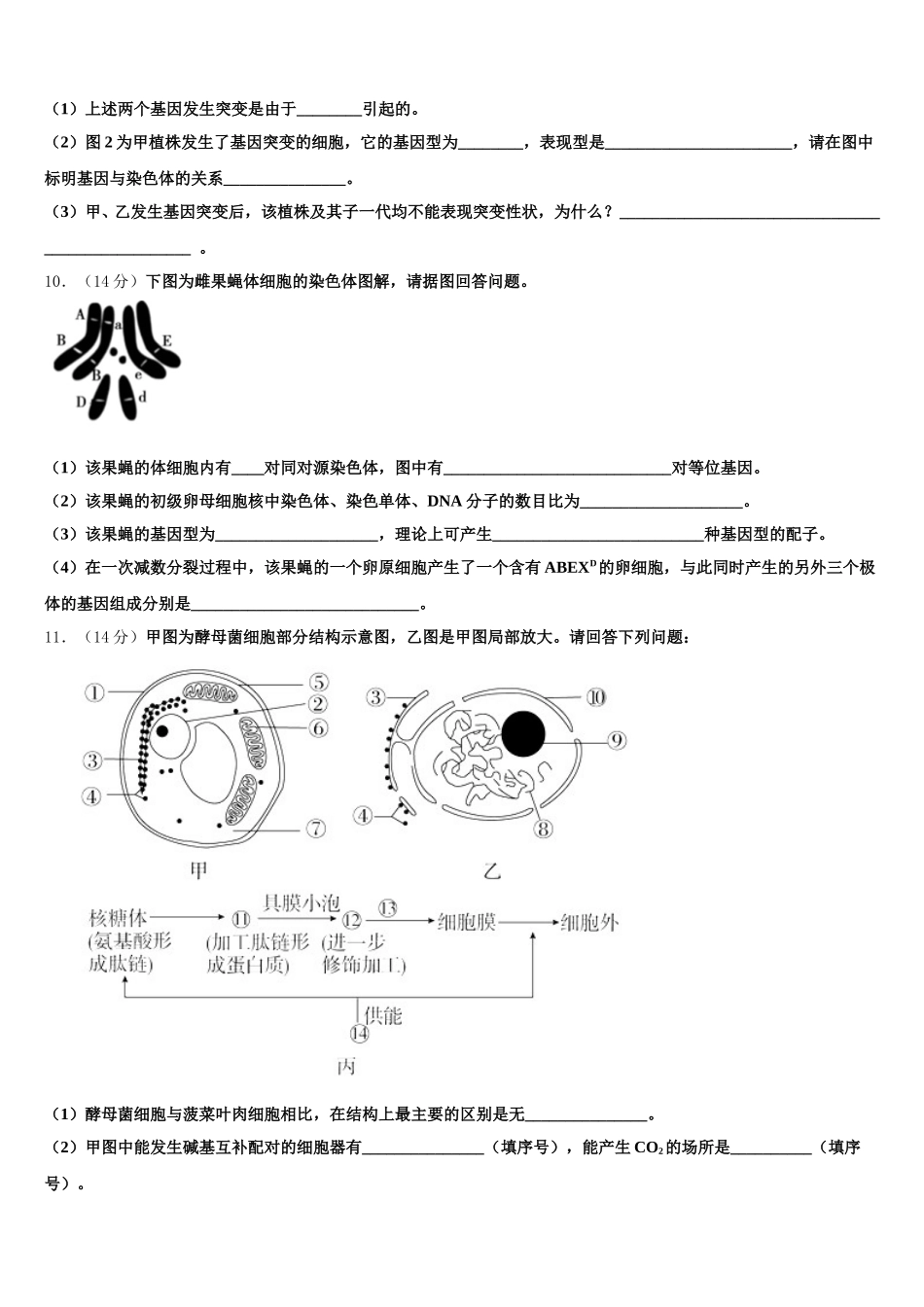 海南省天一大联考2024-2025学年高一生物第二学期期末统考模拟试题含解析_第3页