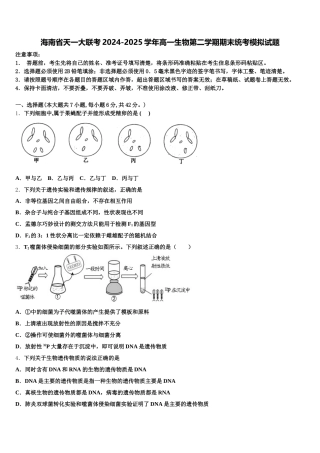 海南省天一大联考2024-2025学年高一生物第二学期期末统考模拟试题含解析