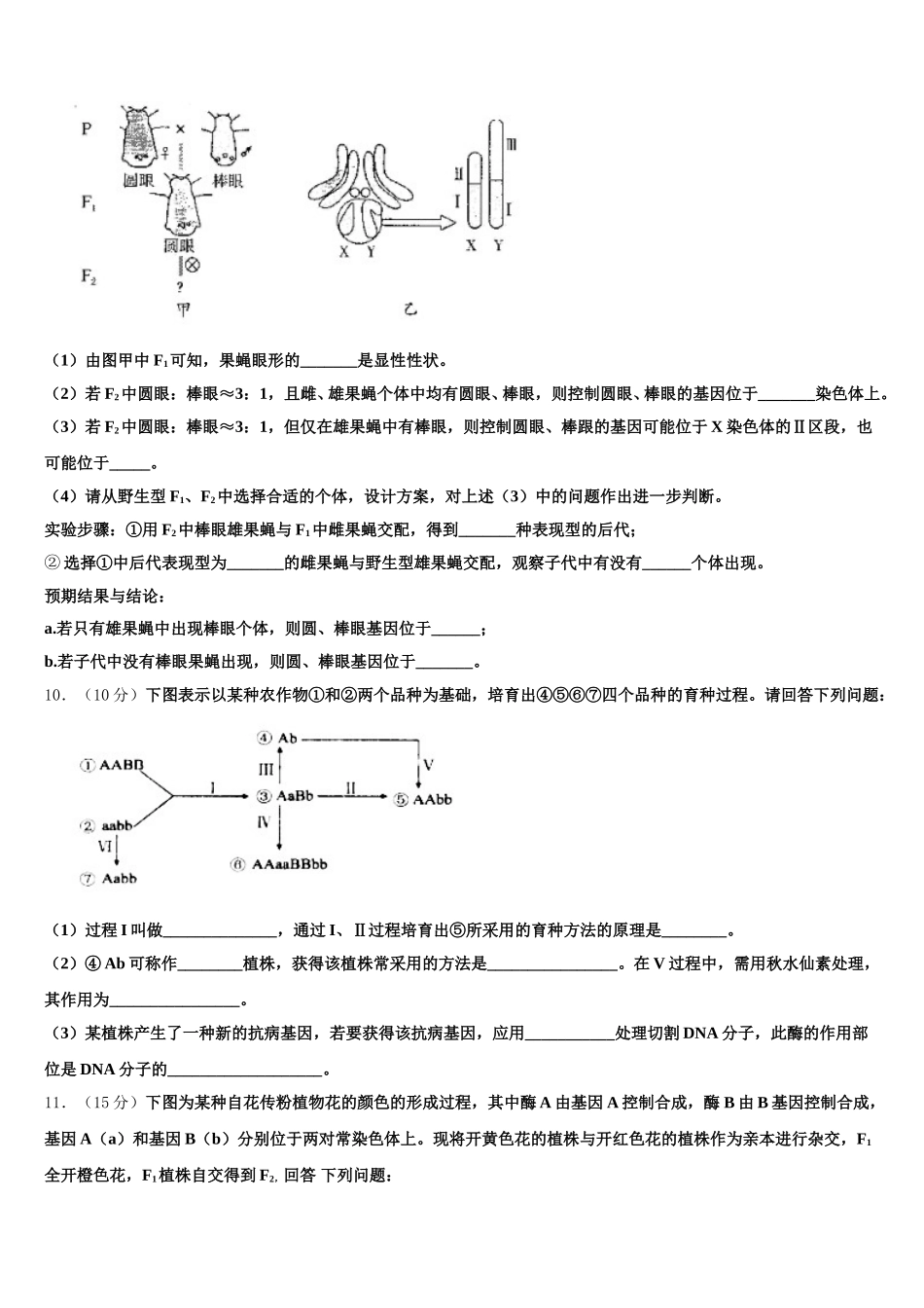 北师大万宁附中2025年生物高一第二学期期末考试模拟试题含解析_第3页