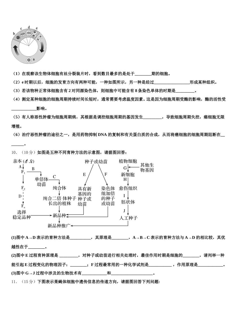 2024-2025学年海口市第十中学生物高一第二学期期末联考试题含解析_第3页