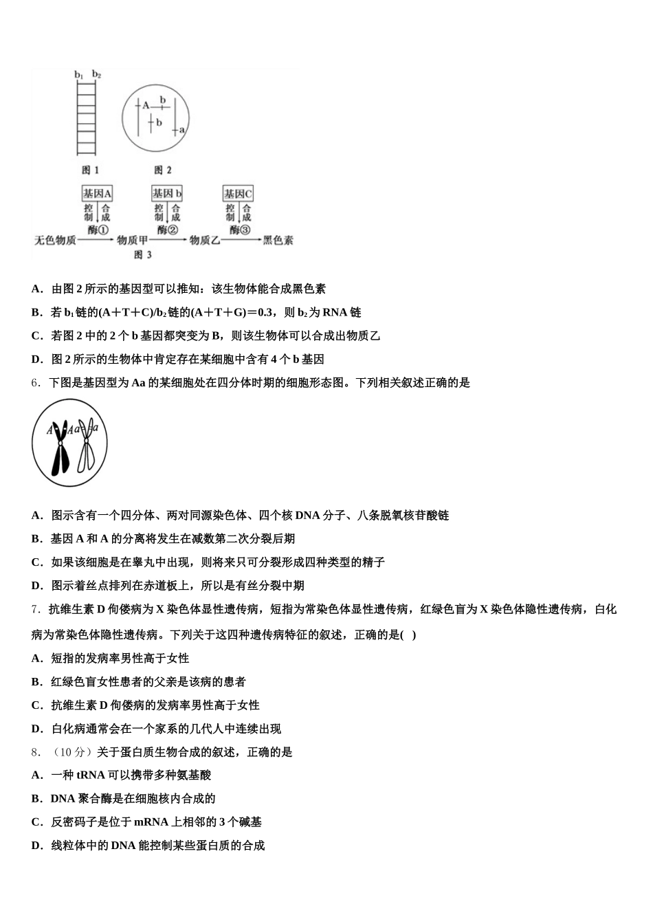 海南省海口市第四中学2025年高一下生物期末经典模拟试题含解析_第2页