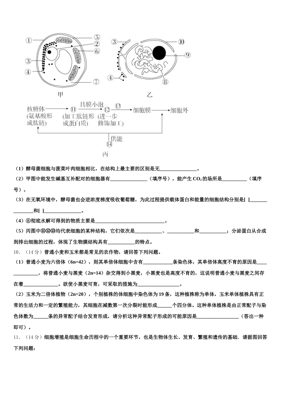 海南省华侨中学2025届高一生物第二学期期末统考模拟试题含解析_第3页