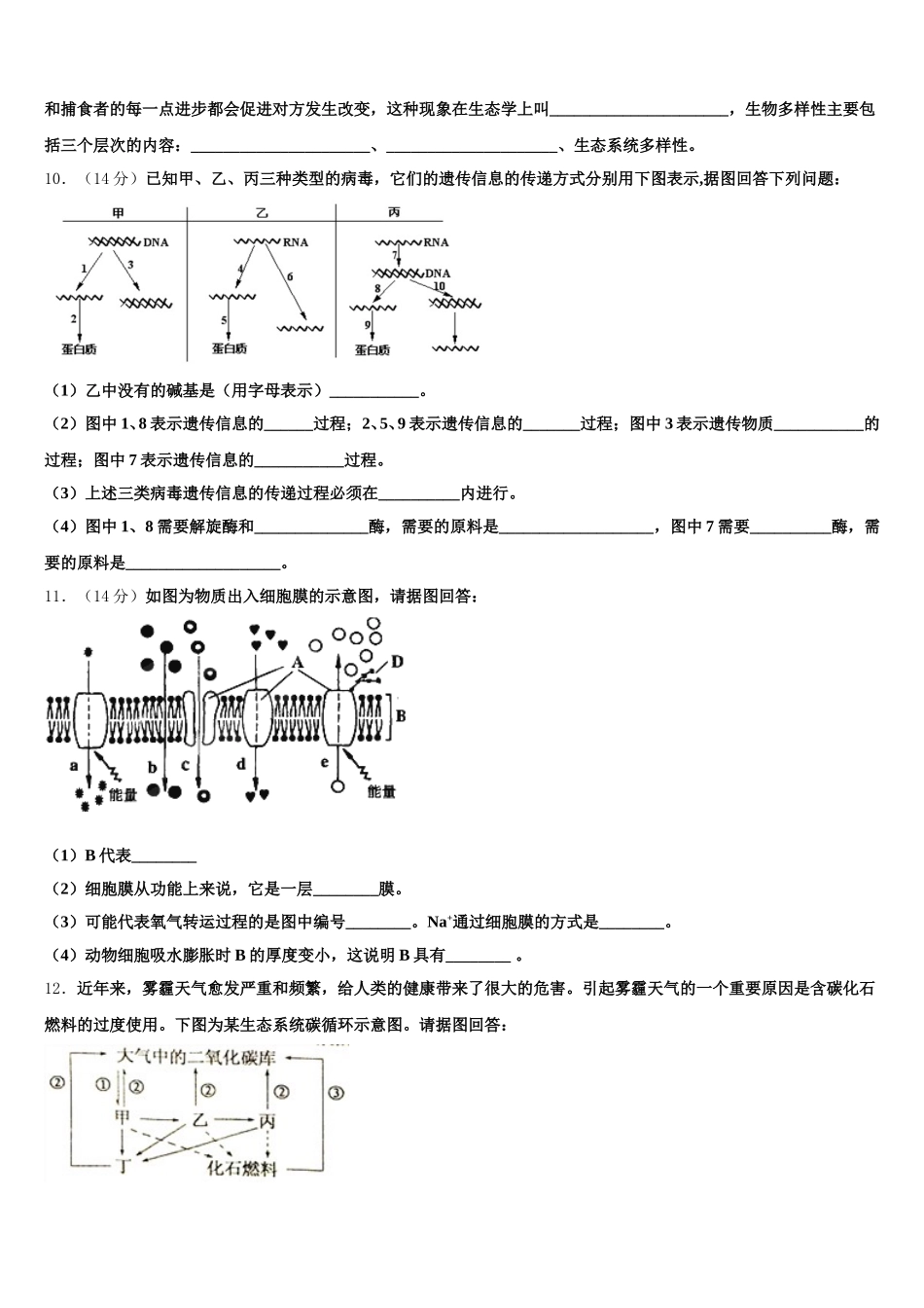 2025年青海省海南市生物高一下期末学业质量监测试题含解析_第3页