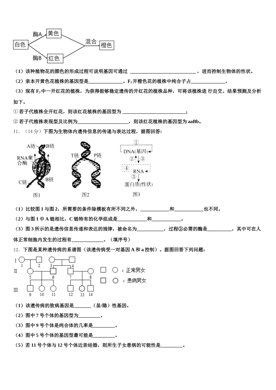 2025年海南省海口市湖南师大附中海口中学生物高一下期末监测试题含解析_第3页