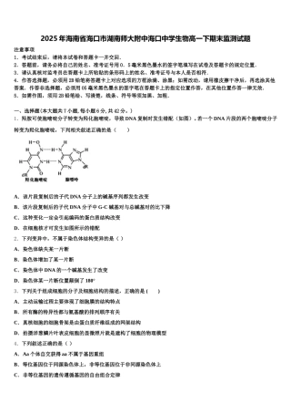 2025年海南省海口市湖南师大附中海口中学生物高一下期末监测试题含解析