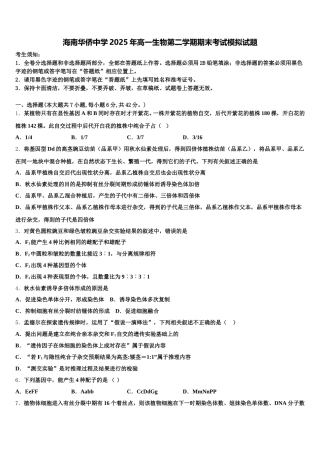 海南华侨中学2025年高一生物第二学期期末考试模拟试题含解析
