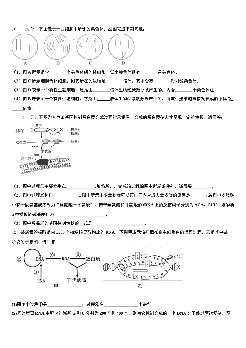2024-2025学年海南省临高中学高一下生物期末经典试题含解析_第3页