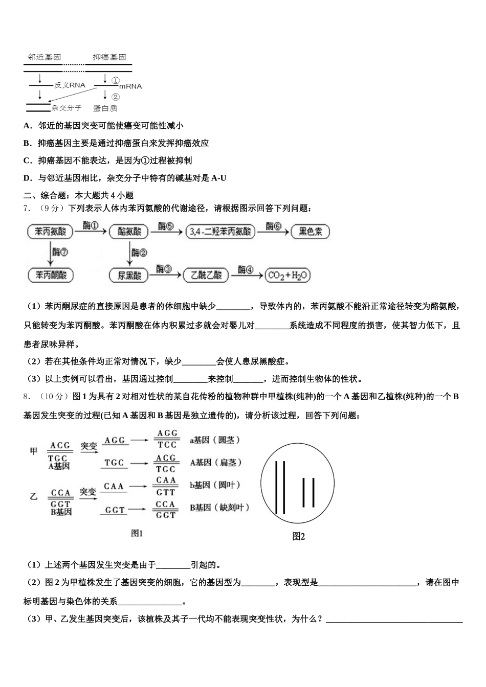 海南省华中师大琼中附中、屯昌中学2024-2025学年生物高一第二学期期末质量检测模拟试题含解析_第2页
