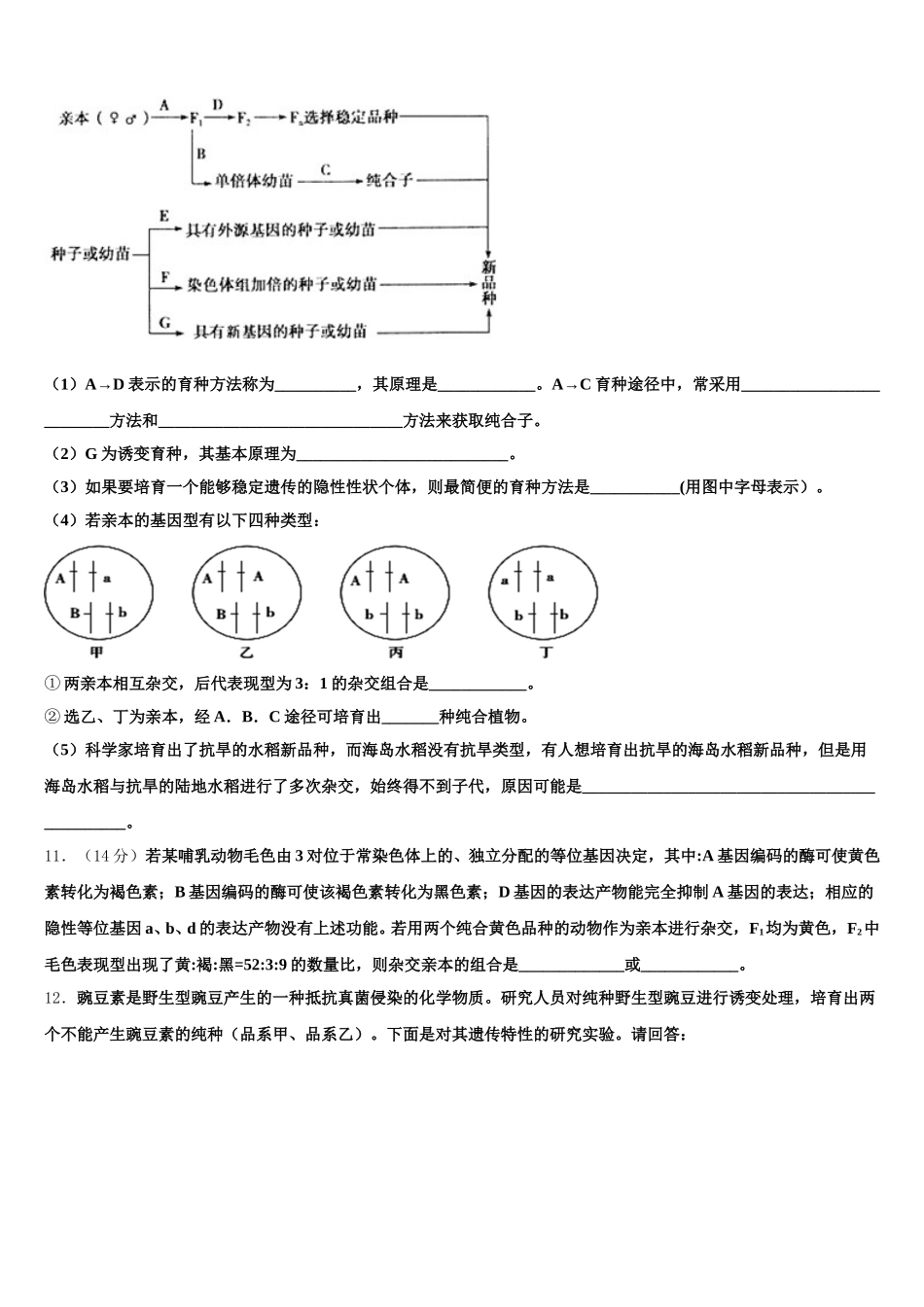 2025年海南省海口市湖南师大附中海口中学生物高一下期末调研试题含解析_第3页