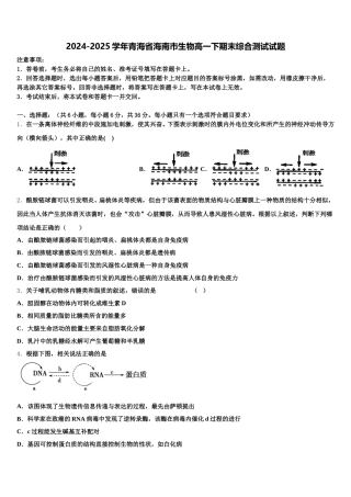2024-2025学年青海省海南市生物高一下期末综合测试试题含解析