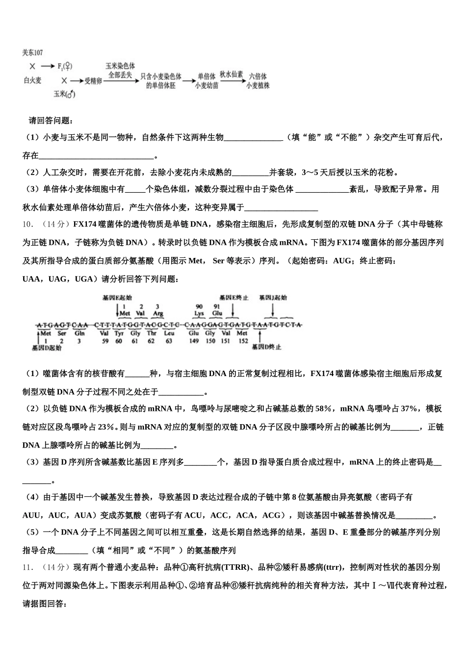 2025届海南省白沙中学高一生物第二学期期末综合测试模拟试题含解析_第3页