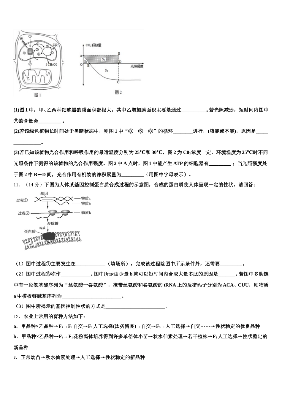 海南省洋浦中学2024-2025学年高一生物第二学期期末学业质量监测模拟试题含解析_第3页