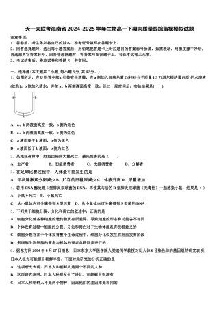 天一大联考海南省2024-2025学年生物高一下期末质量跟踪监视模拟试题含解析