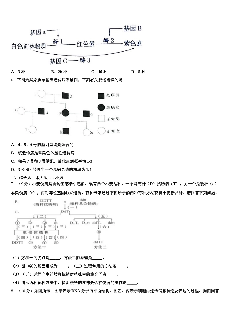 2025届三亚市重点中学生物高一下期末质量检测模拟试题含解析_第2页