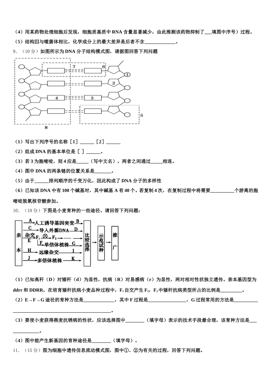 2025届海南省儋州市第一中学生物高一第二学期期末质量跟踪监视试题含解析_第3页