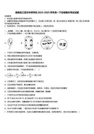 海南省三亚市华侨学校2024-2025学年高一下生物期末考试试题含解析