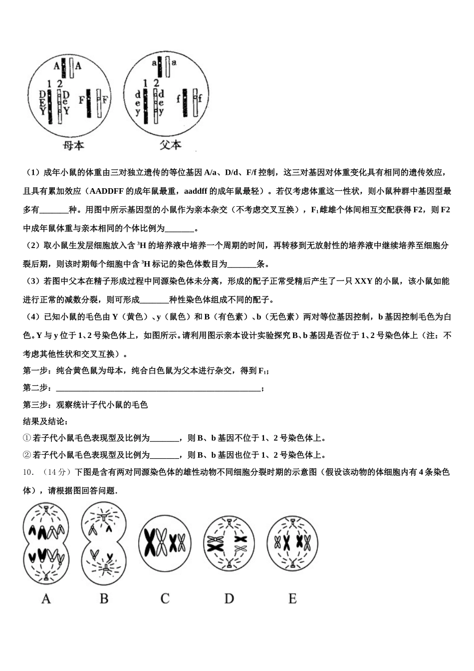2025届海南省国兴中学高一生物第二学期期末学业水平测试试题含解析_第3页