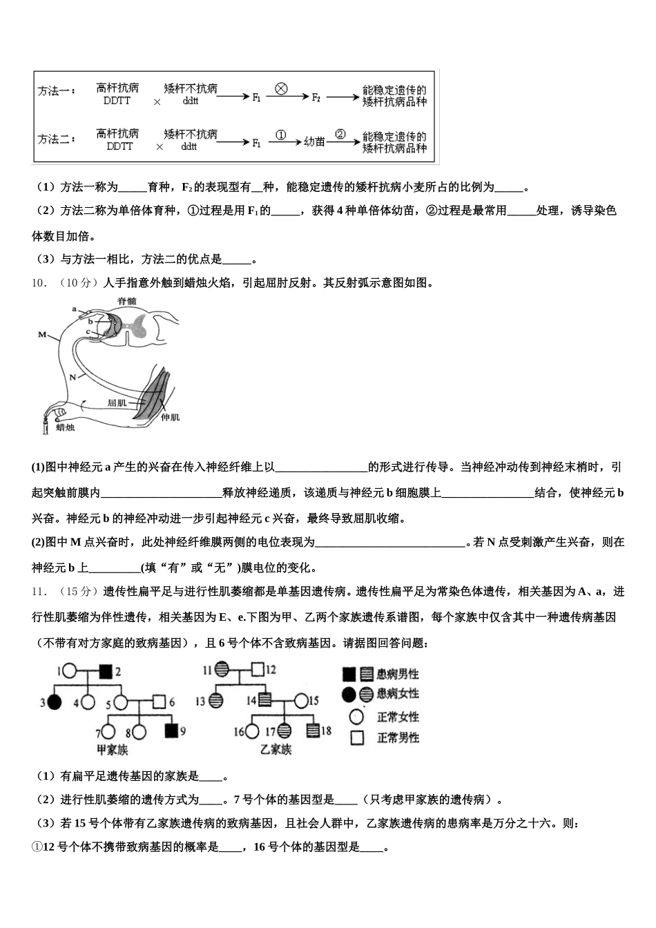 2025年海南省儋州市八一中学高一下生物期末监测试题含解析_第3页