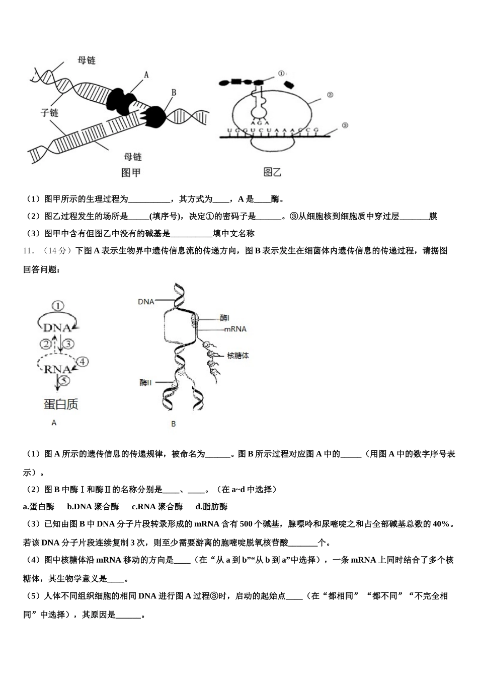 海南省天一大联考2025届高一下生物期末质量跟踪监视试题含解析_第3页
