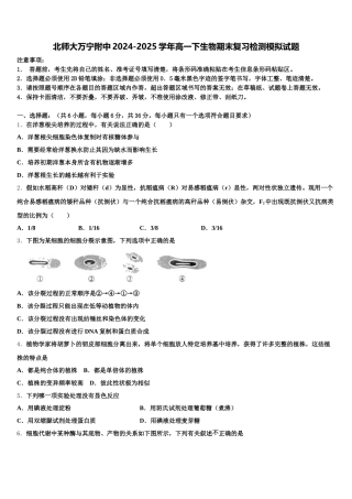 北师大万宁附中2024-2025学年高一下生物期末复习检测模拟试题含解析