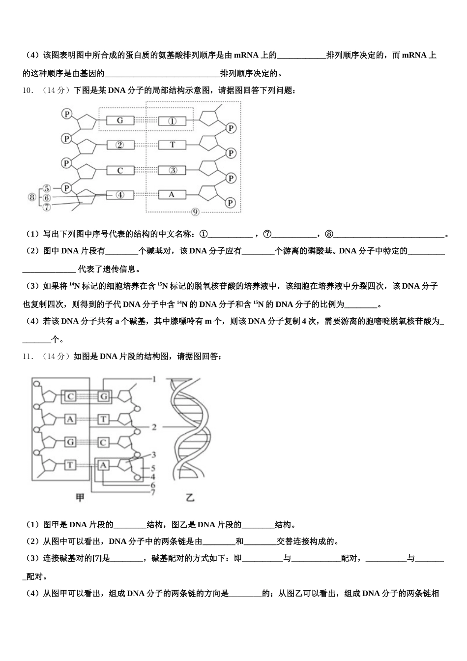 海南省临高县新盈中学2025届高一生物第二学期期末复习检测试题含解析_第3页