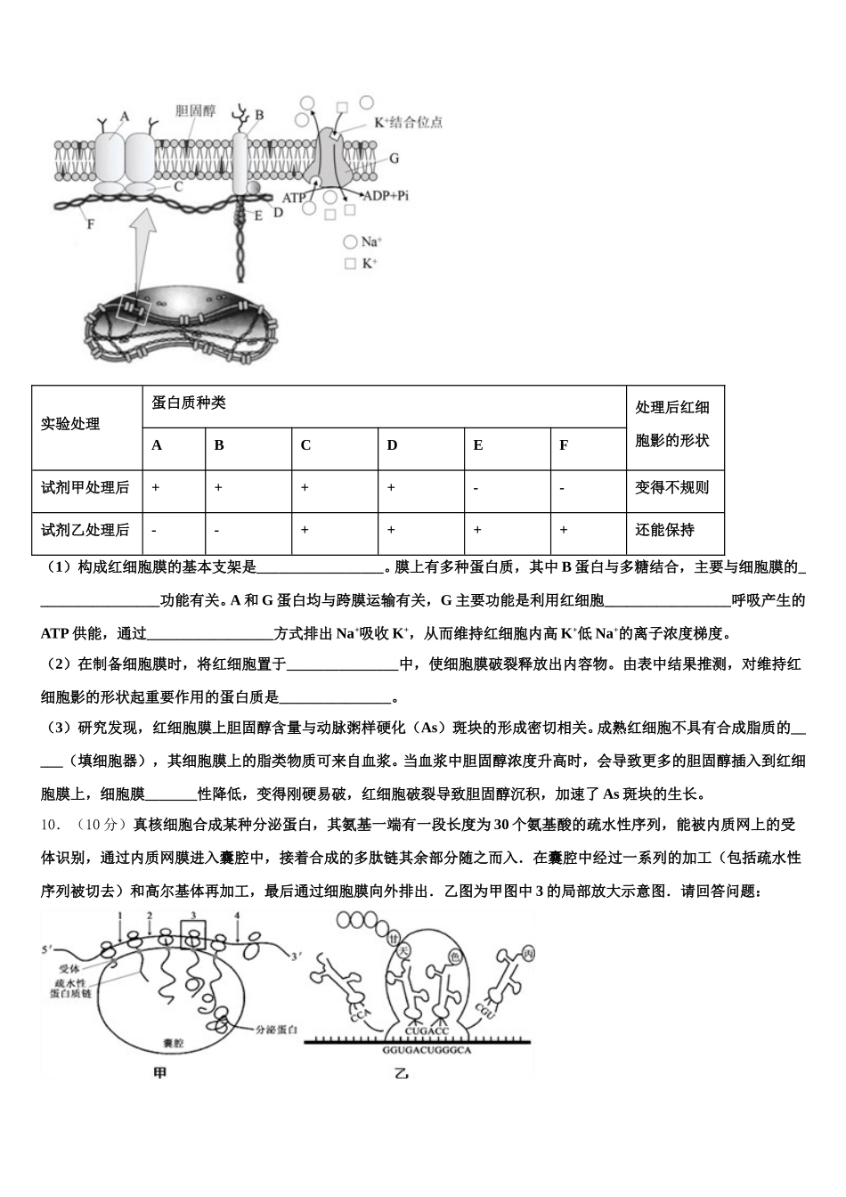 2025年广东省珠海市生物高一第二学期期末联考试题含解析_第3页