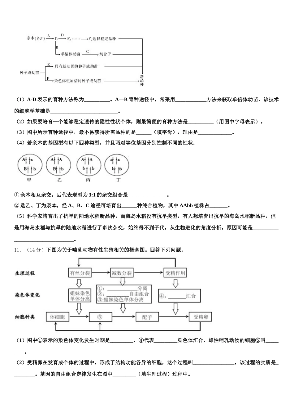 广东省揭阳市第一中学2025届高一下生物期末质量检测试题含解析_第3页