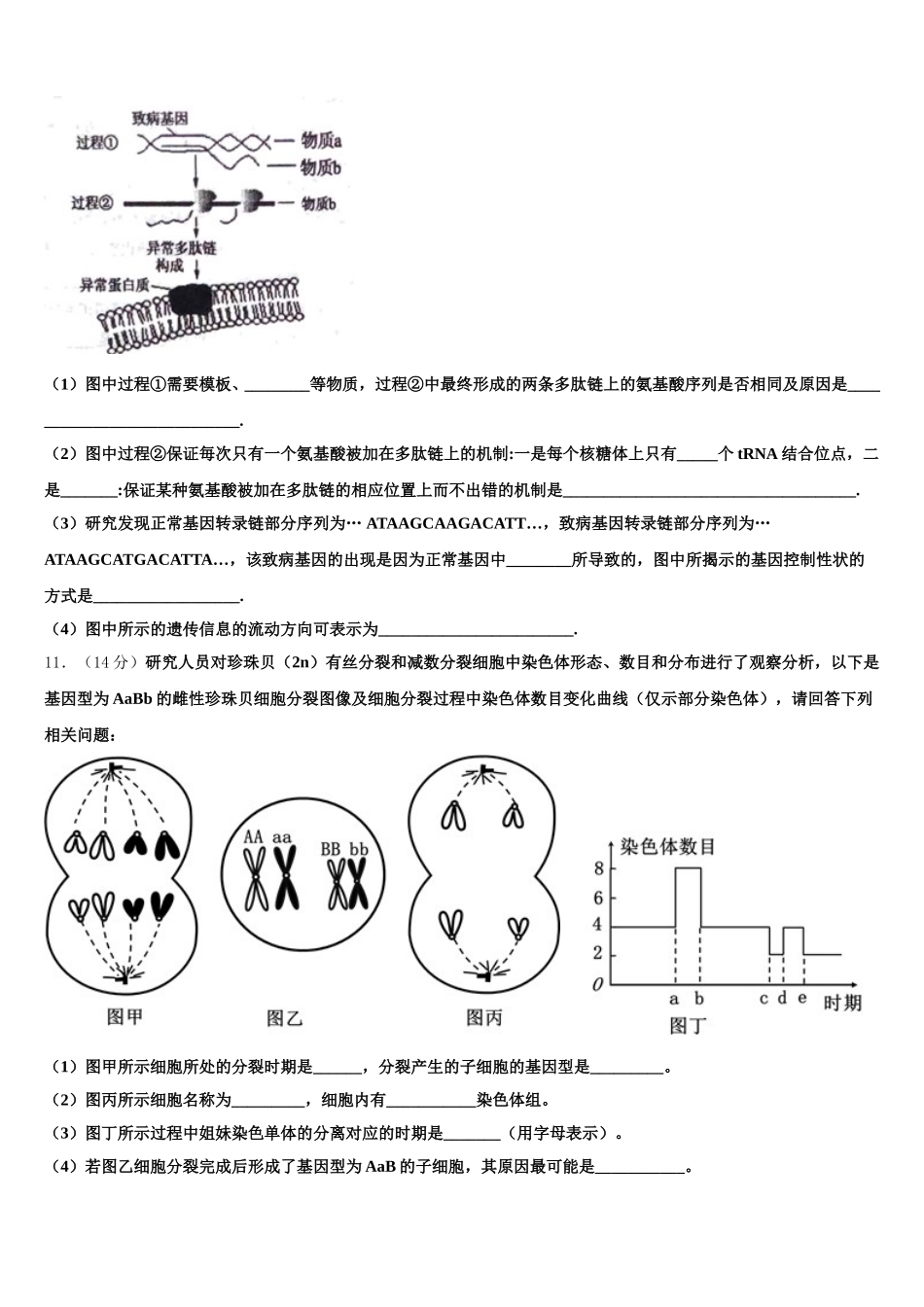 2025届广东省惠来县葵潭中学高一下生物期末学业水平测试模拟试题含解析_第3页