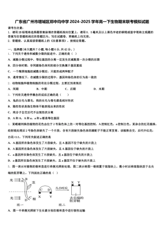 广东省广州市增城区郑中均中学2024-2025学年高一下生物期末联考模拟试题含解析