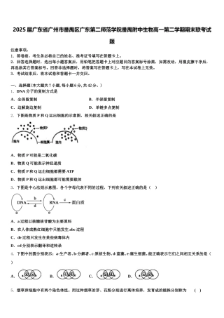 2025届广东省广州市番禺区广东第二师范学院番禺附中生物高一第二学期期末联考试题含解析
