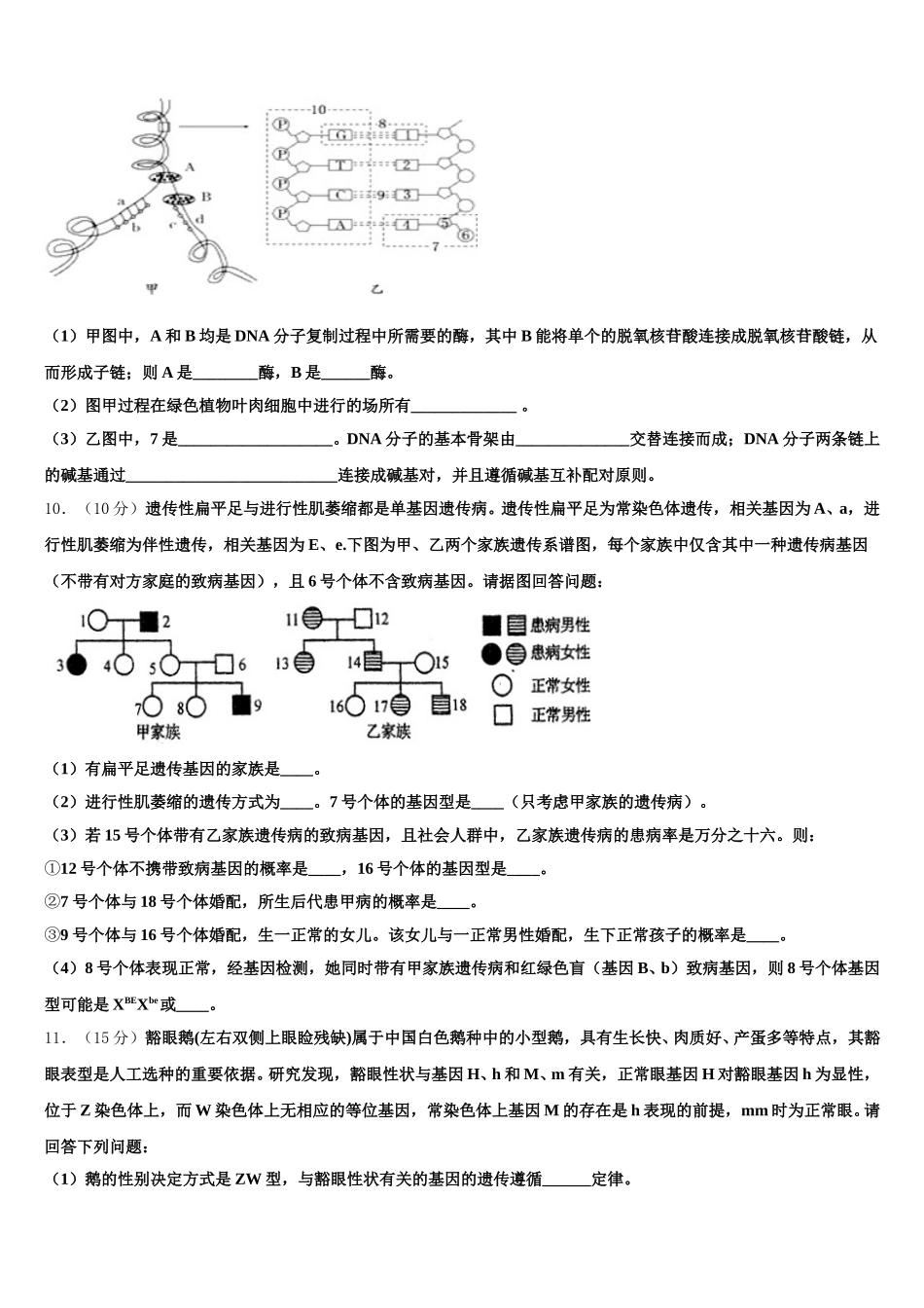 广东省湛江市第四中学2025届生物高一下期末调研试题含解析_第3页