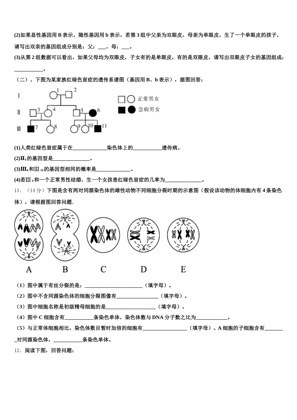 2025届广东省普宁市第二中学高一下生物期末质量跟踪监视模拟试题含解析_第3页