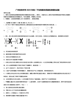 广州协和中学2025年高一下生物期末质量检测模拟试题含解析