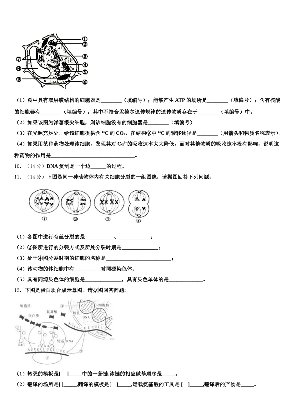 2025年深圳市第二高级中学生物高一第二学期期末调研试题含解析_第3页