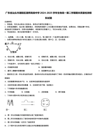 广东省汕头市潮阳区潮师高级中学2024-2025学年生物高一第二学期期末质量检测模拟试题含解析