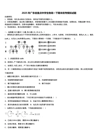 2025年广东省重点中学生物高一下期末统考模拟试题含解析
