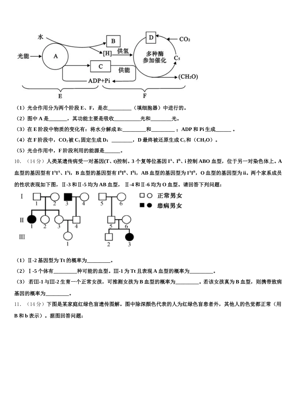 广东省肇庆中学2025届生物高一下期末达标检测模拟试题含解析_第3页