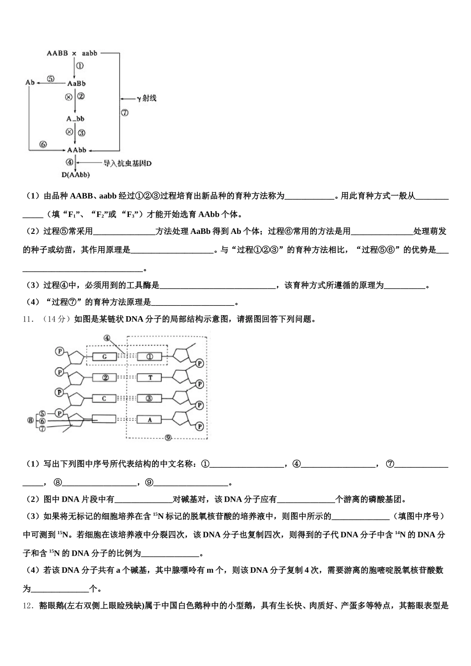 深圳大学师范学院附属中学2025届高一下生物期末学业水平测试模拟试题含解析_第3页