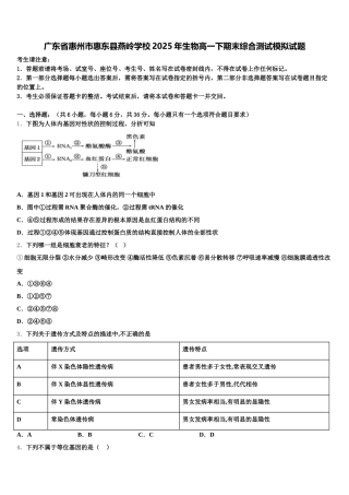 广东省惠州市惠东县燕岭学校2025年生物高一下期末综合测试模拟试题含解析