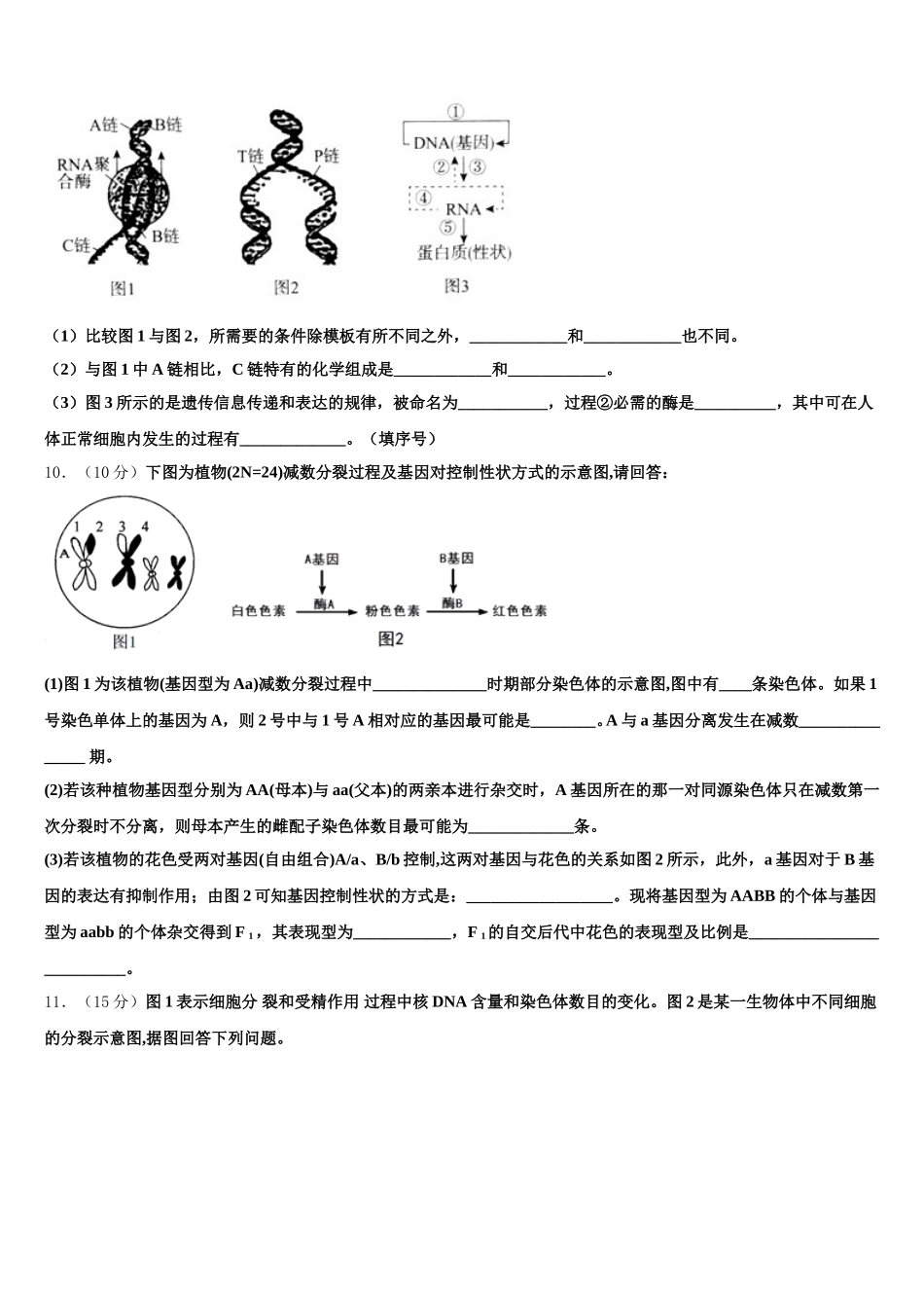 广东省广州市广东第二师范学院番禺附中2025年高一下生物期末综合测试模拟试题含解析_第3页