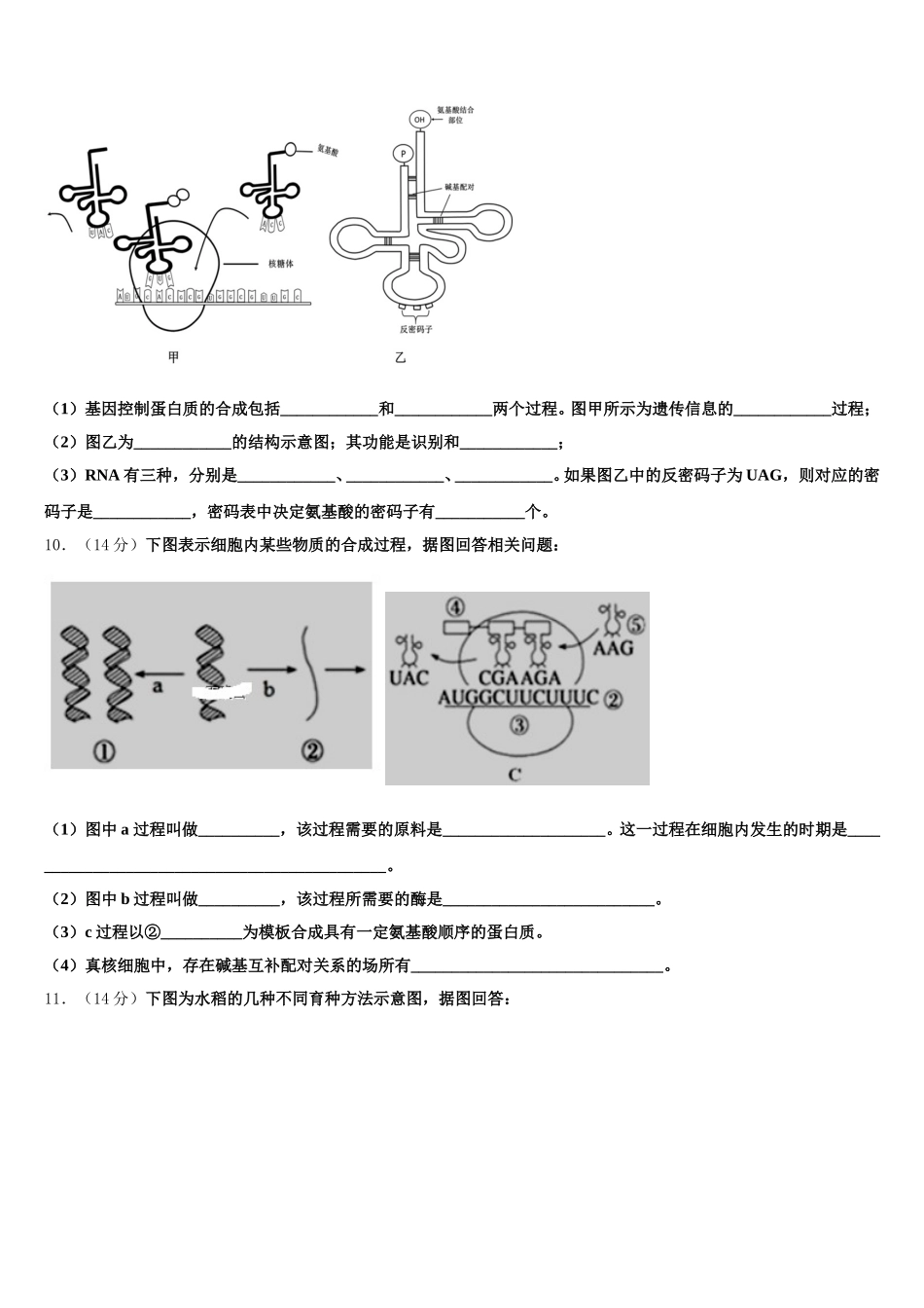 2025届广东省罗定中学城东学校高一下生物期末达标检测模拟试题含解析_第3页