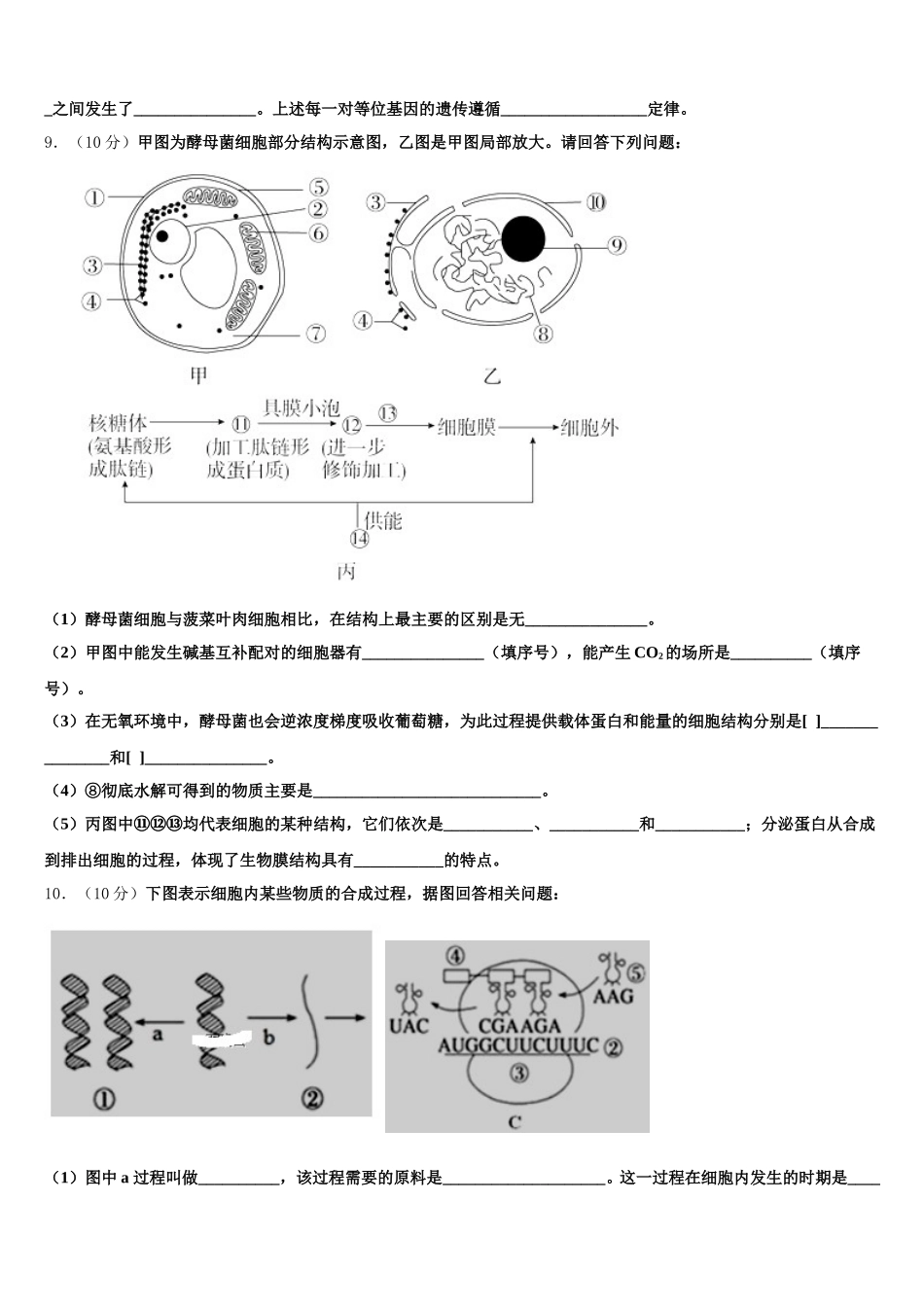 2024-2025学年广东省东莞市翰林实验学校生物高一下期末质量跟踪监视试题含解析_第3页