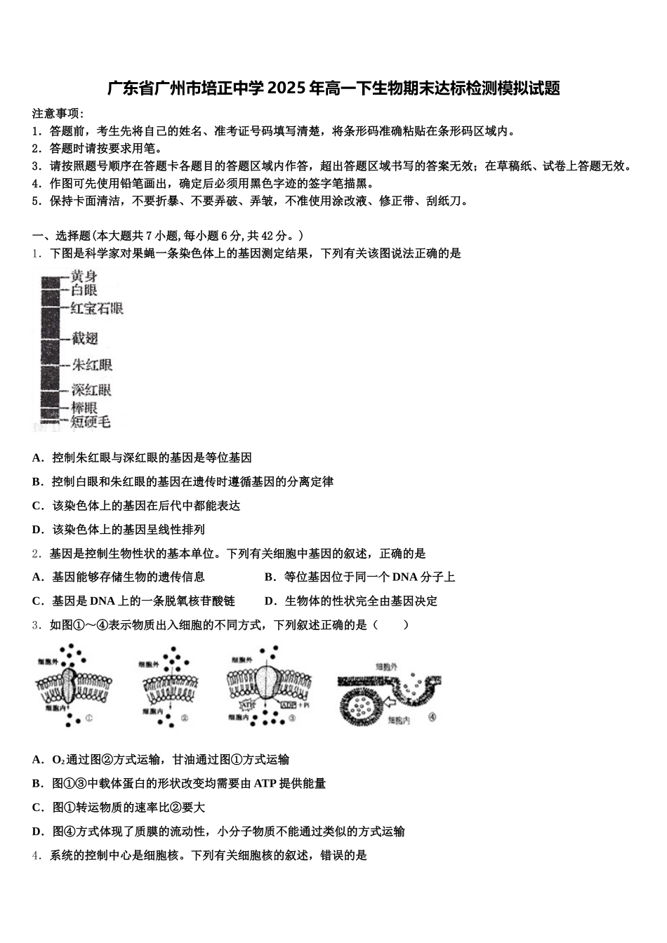 广东省广州市培正中学2025年高一下生物期末达标检测模拟试题含解析_第1页