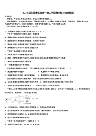 2025届东莞市生物高一第二学期期末复习检测试题含解析