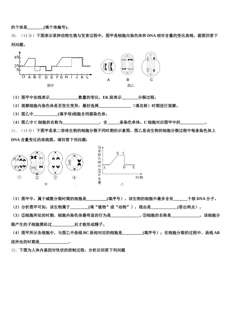 2025届广东省揭阳市普宁市高一生物第二学期期末联考模拟试题含解析_第3页